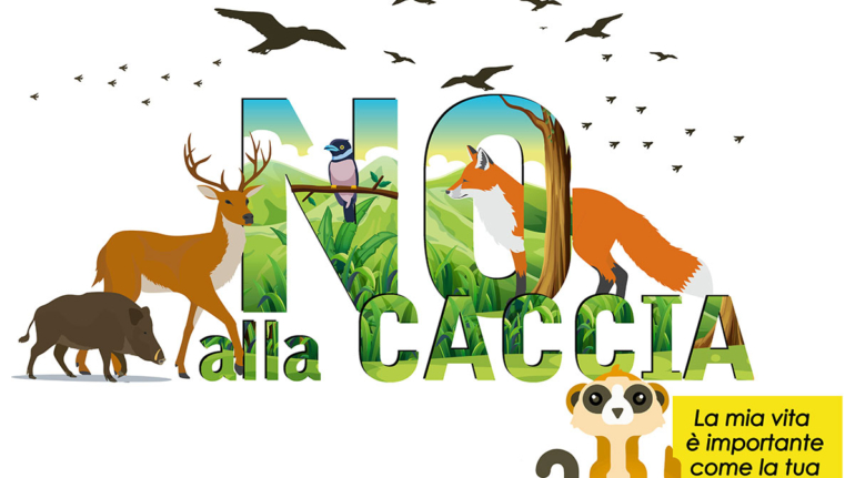 no_caccia_sito